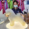 Hundekleidung Luminhaltertisch Haustier Schönheit Luftdruck heben rotatierbarer Teddy Scherkosmetik