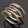 Love Bangle Tennis Designer Jóias Mulheres Diamante Adorável cobra Sier Rose Gold Jewellery Copper Plate Party Wedding Charm Ndrinha Serpent Bracelet