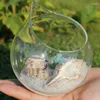 Vaser mini transparent glas hängande kul prydnader mikro landskap behållare hydroponics växter flaskor hem dekorationer