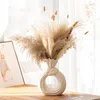 VASI VASI CERAMICA Ceramica a strisce bianche Creative Creative Decorazione per la casa Decorazione fiore Luce di lusso di lusso