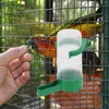 その他の鳥の供給10 PCSウォーターズホーム装飾