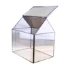 Husform Glass Geometric Terrarium Box Tablett Succulent Plant Planter Fern Moss Care Decoration for Floral Greenhouse 240325