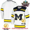 Tyler Motte 2024 Frozen Four Michigan Wolverines Hockey Jersey 43 Quinn Hughes 19 Dylan Larkin 13 Zach Werenski Zach Hyman Custom costume Jerseys Michigan