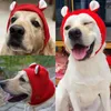 Vêtements pour chiens Noël chapeau de compagnie du Père Noël pour chats chiens chiot