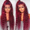 2024 Högkvalitativt centrumparti Lång peruker Hot Sale Brown Small Wavy Hair For Black Women Wholesale Europe America Fashion Lace Front Rose Net Long Curly Wig Wig