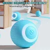 Giocattolo intelligente per gatto cane elettronico sfere interattive elettroniche accessori per animali domestici a pallone magico automatico 240328