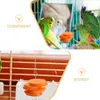 Другие птицы поставляют попугайные овощи Finch Feeder Wild Fruits Держатель Food Outs Toys Обработка шарик