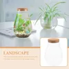 Vases Micro Landscape Ecological Bottle Succulent Bryophyte Dome Plants Container Glass Betta Terrarium Propagation Station