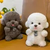 25 cm konstgjorda vita bichonbjörn plysch leksak grå sittande och stående halsduk kawaii teddy hund djurdocka festival gåvor 240325