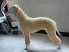 Abbigliamento per cani Levriero italiano Grollo a quattro gamba inverno Calco abbigliamento Whitbit