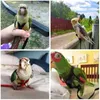 Other Bird Supplies 1.2m/1.3m 4-color Parrot Harness Pet Fur Outdoor Flight Traction Belt Strap Adjustable Anti Bite Training Rope