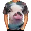 2023 NIEUW ZOMER Trendy T-shirt 3D Pig Digital Print Men's Circle