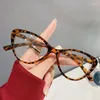 Occhiali da sole Retro Eyecylass Frame Occhi per gatto Lenti piatti Donne Trend Personalità Fashi