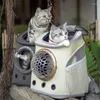 Transporteurs de chats voyagez transporteur de chaton transparent petit sac à dos poussette transport adorant para gato accessoires