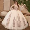 Applique Royal Blue Quinceaneras Dresses 2024 Ball Gown Vestidos De 15 Anos Quinceanera Birthday 16 Flower