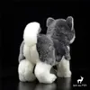 Alaskan Malamute Anime Cute Plushie Dog Toys Plushiele Animali Life Simulazione bambola di peluche Kawai Toy Gifts Kids 240325