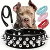 Stylish and Durable Spiked Leather Dog Collar and Leash Set for Safe and Comfortable Outdoor Walking