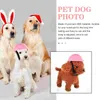 Hundkläder husdjur rolig hatt dekorativ förfalskning katt leksak multi-användning säkerhet valp utomhusförsörjningscykel plastskyddande