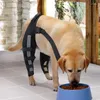 Aparelados para cães para as pernas traseiras até joelheiras com suporte traseiro com manga de perna respirável ajustável rasgada