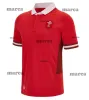 2023/24 Maglie della squadra nazionale del Nuovo Galles Jersey Cymru Version Coppa del Mondo Polo T-shirt 22 23 Top Welsh Rugby Training Jesery