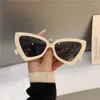 Zonnebrillen Fashion Cat Eye Women Designer Vintage Anti-Blue Sun Glazen voor vrouwelijke retro onregelmatige tinten bril