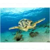 Paintings Sea Turtle Painting Art Print Ocean Poster Wall Picture For Bathroom Decoration Kids Bedroom Decor Canvas Prints Drop Delive Dhvlq