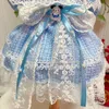 Koreanska valphundkläder Lovely Bow Pink Blue Princess Dress for Small Medium Dog Autumn Winter Pet Clothes Ytterkläder 240402