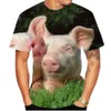 2023 NIEUW ZOMER Trendy T-shirt 3D Pig Digital Print Men's Circle