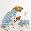 Hundkläder Bekväm husdjurssteriliseringsdräkt Urin Pad Interlayer Back Fastener Tape Washable Recovery Prevent Biting