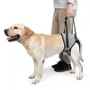 犬の襟のペットサポートハーネスレッグリアリフティングスリングエイド高齢障害者の負傷した犬のハンドル付き
