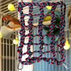 Inne zaopatrzenie ptaków wspinaczka wielokrotnego użytku Parrot Papugi kolorowe ptaki netto produkty Ćwiczenia hamak dla małych zwierząt fretki