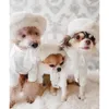 Accessori per animali domestici per cani autunno inverno beret desinger beret piccolo cappello di lana grazioso gatto forniture dolci chihuahua Yorkshire pomeranian