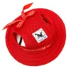Vêtements pour chiens chapeaux extérieurs CAPIR CAPA