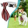 Dog Collars Elastic Ties For Dogs Formal Handmade Fashion Costume Grooming Accessories