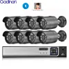 System Gadinan 4ch 8ch Poe System bezpieczeństwa wideo 4MP 5MP Audio Outdoor odporność na nocne widzenie IP Kamera IP Surveillance CCTV Zestaw CCTV