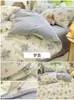 Bettwäsche-Sets Baumwoll-Vierköpfe 100 reines Bettblatt Duvet Cover dreiteilige Frühlings- und Sommermädchen