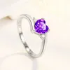 Älskar Micro Set Purple Diamond Crystal Zircon Ring for Womens Fashion Wedding Engagement Jewelry