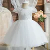 Abiti da ragazza Abito da bambina per 1-5 anni Backss Bow Toddr Kids Battismo Battesimo Vestidos Weddings Party Princess Babys Dresses L240402