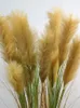 Fiori decorativi artificiali grandi canne secca piante di erba di cipolle di cipolla per cani decorazione