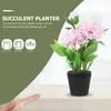 Decorative Flowers Small Potted Plant Decor Fake Faux Peony Bathroom Decorations Indoor Artificial Plants Ornaments Bonsai Flower