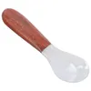 Spoons Reusable Dessert Spoon Conch Of Appetizer Wood Small Scoops Kitchen Essentials