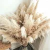 Fleurs décoratives grandes pampas Grass Bouquet naturel moelleux parfait pour l'automne Thanksgiving Halloween Christmas Weddings Bohemian Party