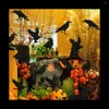 Feestdecoratie 32 stks hangende swirl deco Halloween streamers folie plafond spiraalvormige heksen pompoen spookuitsnijdingen passen een