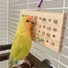 Autres fournitures d'oiseaux mâchez des perroquets de jouets cage en bois naturel pending pour les perruches de petite taille d'oiseaux