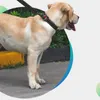 Hundekragen Langlebiger Kragen bequem atmungsaktives Haustier Nylon Doppelschnalle Outdoor Wandertraining Universal Head Cover