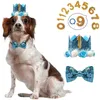Dog Apparel Pet Headdress Bow Tie Decoration Set Birthday Party Hat Crown Numbers Celebration Props Collar Leather Wide
