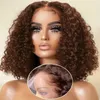 2024 Högkvalitativ centrumparti Korta peruker Hot Sale Brown Small Wavy Hair For Black Women Wholesale Europe America Fashion Lace Front Rose Net Long Curly Wig Wig