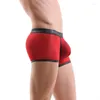 Underbyxor mäns sexiga underkläder transparenta boxershorts penispåse stammar gay exotiska jockstraps andningsbara ren mesh solid
