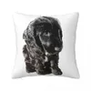 Pillow English Cocker Spaniel Black Puppy Dog - Urocze! Rzuć na dekoracyjne sofy poduszki łóżka