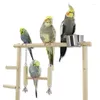 Other Bird Supplies Ladder Climbing Wooden For Birds Decoration Swing Set